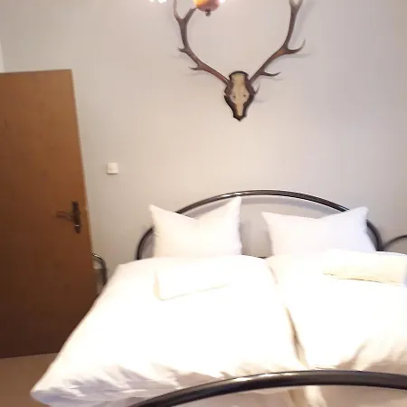 3 Sterne Wachter Bischofsgruen